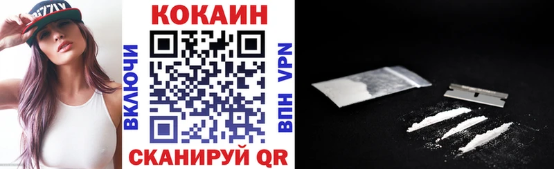 Cocaine Fish Scale  площадка как зайти  Гудермес  магазин продажи наркотиков 