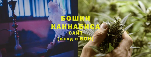 трава Арсеньев