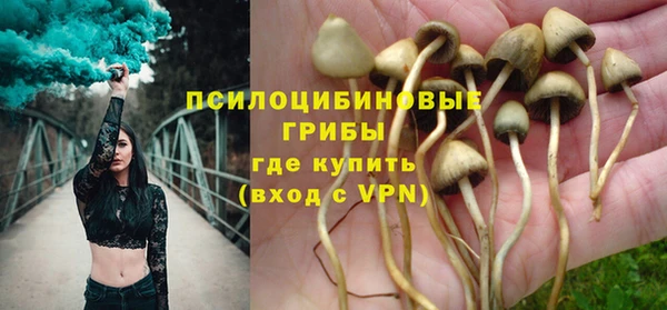 гидропоника Аркадак