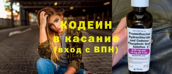 трава Арсеньев