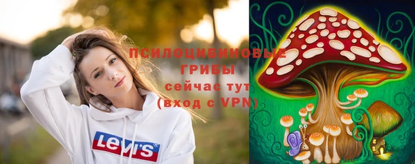 гидропоника Аркадак