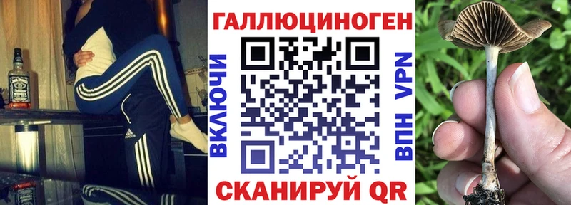Псилоцибиновые грибы прущие грибы Гудермес