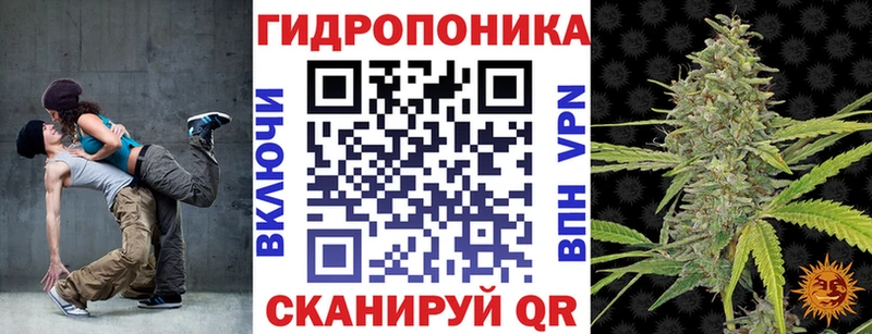 продажа наркотиков Гудермес МАРИХУАНА сатива